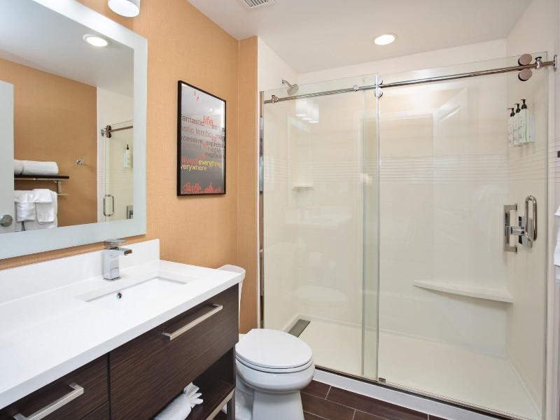 Towneplace Suites By Marriott Detroit Belleville image