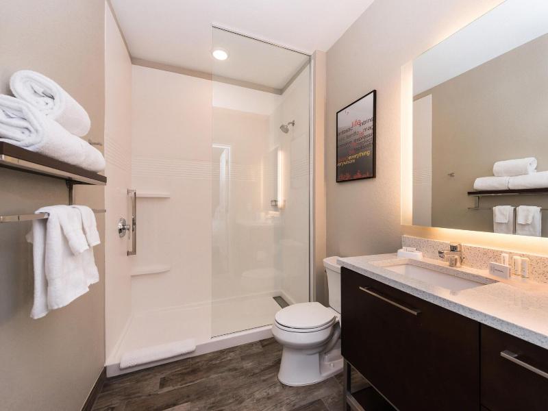 Towneplace Suites By Marriott Detroit Belleville image