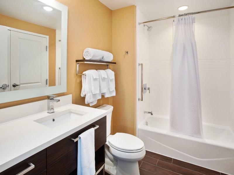 Towneplace Suites By Marriott Detroit Belleville image