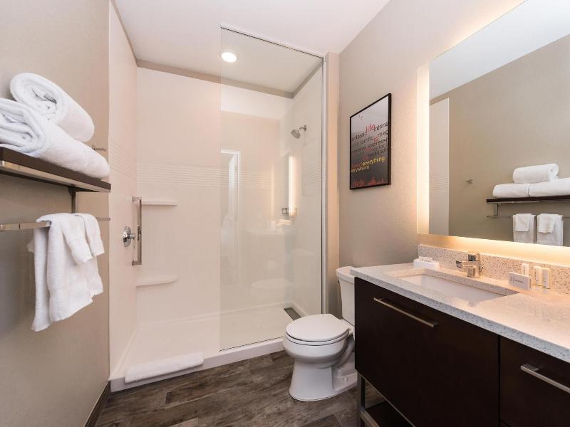Towneplace Suites By Marriott Detroit Belleville image