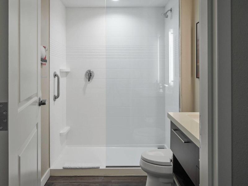 Towneplace Suites By Marriott Tampa South image