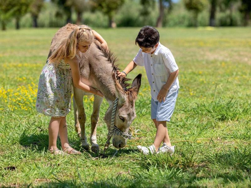 Grecotel LUXME Costa Botanica image