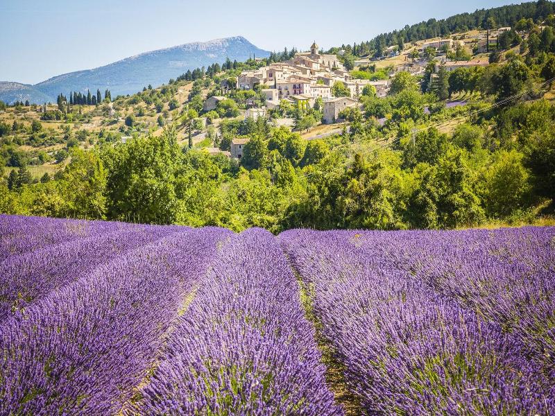 Logis Hotel la Bastide d'Entraigues image