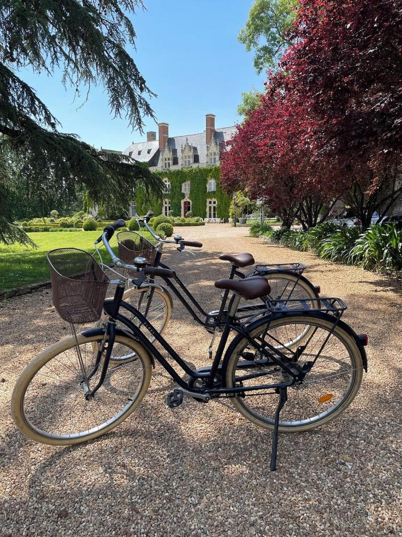 Chateau de l'Epinay image