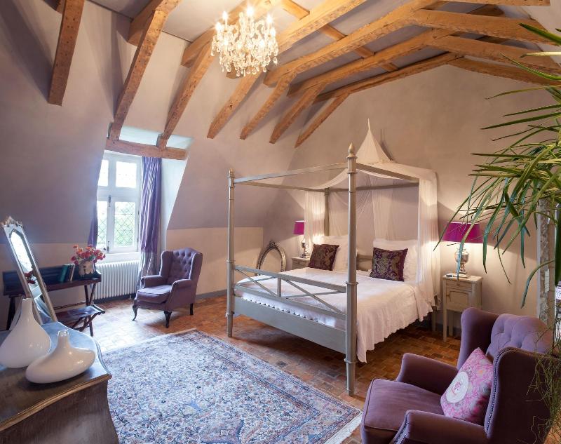 Chateau de l'Epinay image