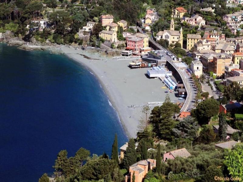 Hotel Delle Rose image