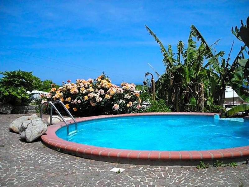 Hotel Gallo Nero image