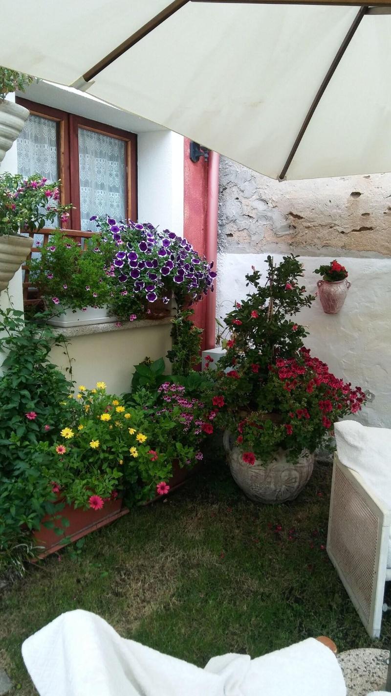 Hotel Sa Cralla image