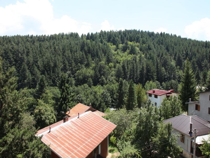 Hotel Tasso image