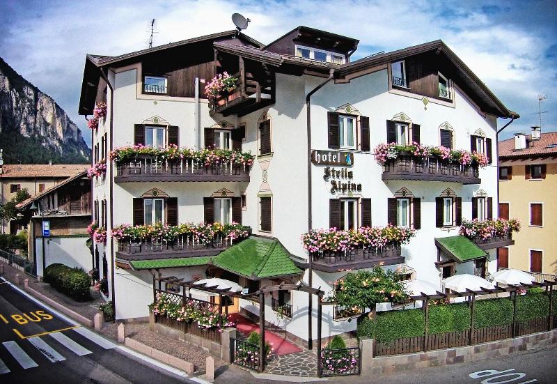 Hotel Stella Alpina image