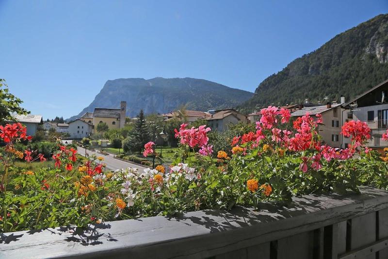 Hotel Stella Alpina image