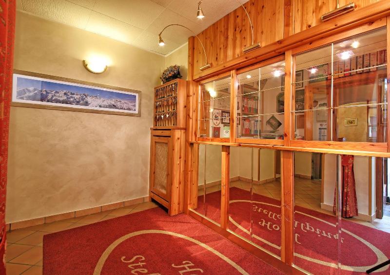 Hotel Stella Alpina image