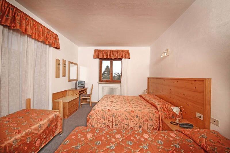 Hotel Stella Alpina image