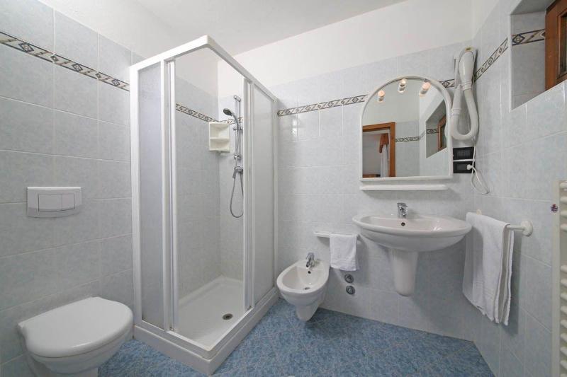 Hotel Stella Alpina image