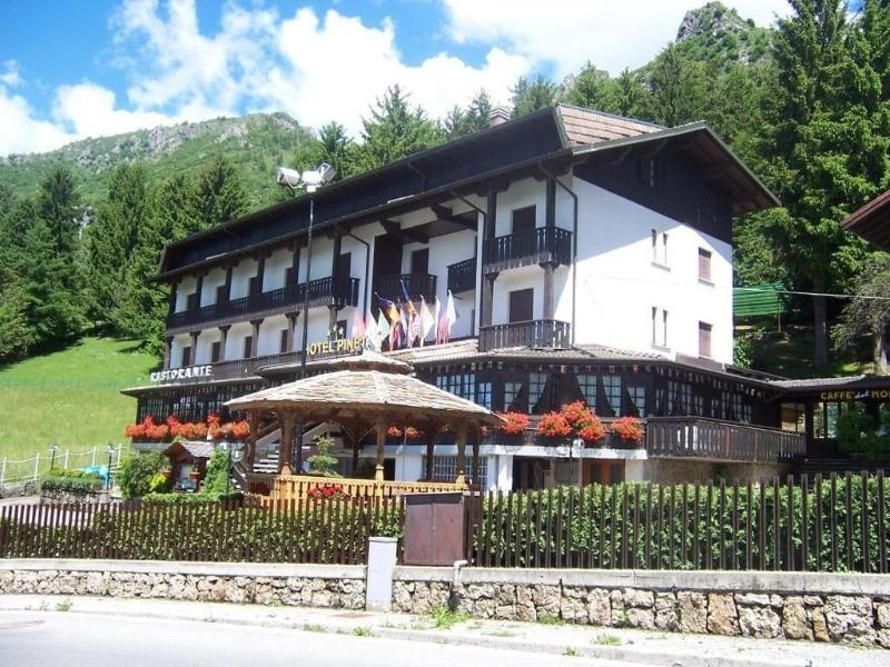 Hotel Pineta — photo 4