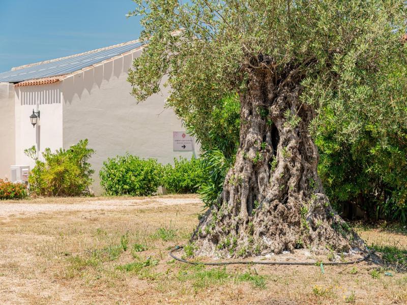 Hotel Borgo Alba Barona image