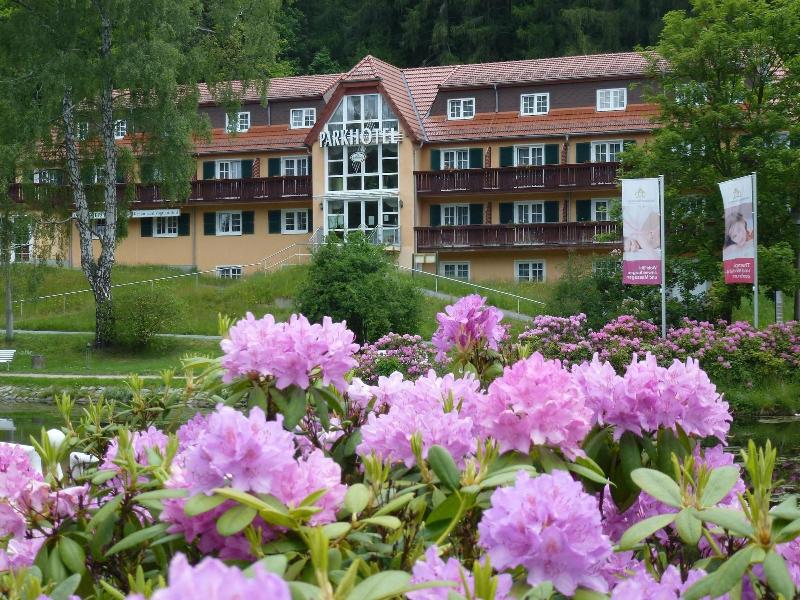 Parkhotel Bad Brambach image