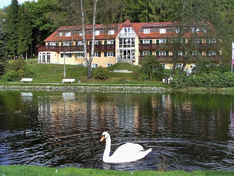 Parkhotel Bad Brambach image