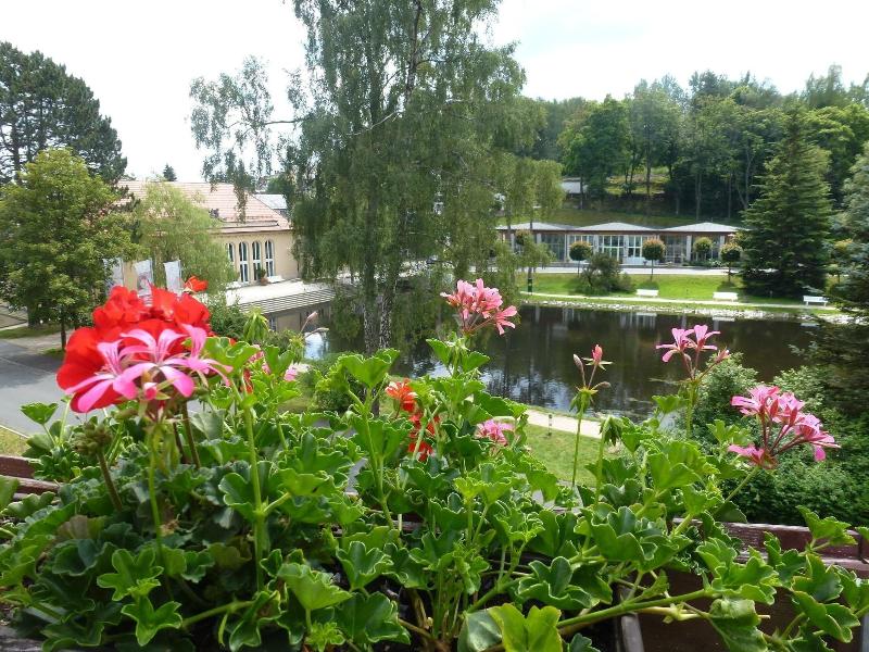 Parkhotel Bad Brambach image
