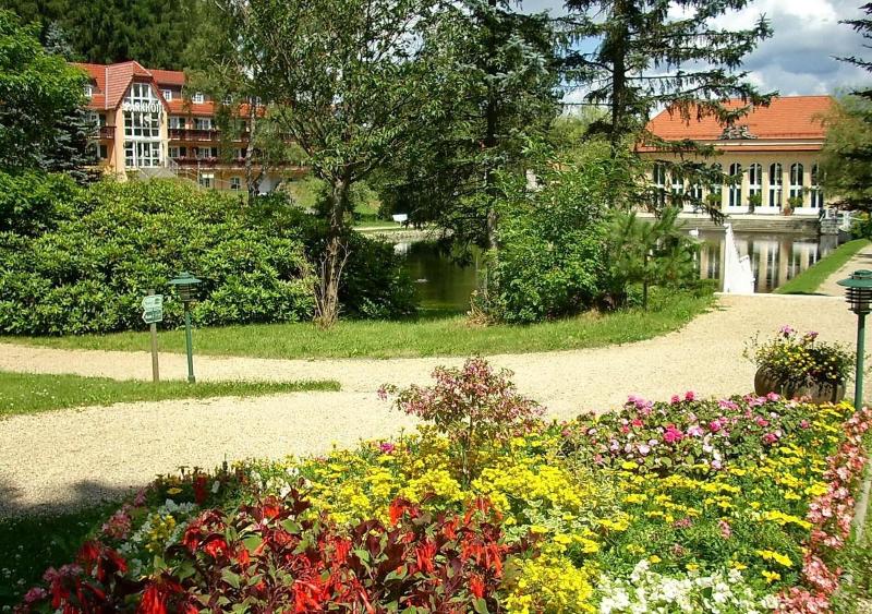Parkhotel Bad Brambach image
