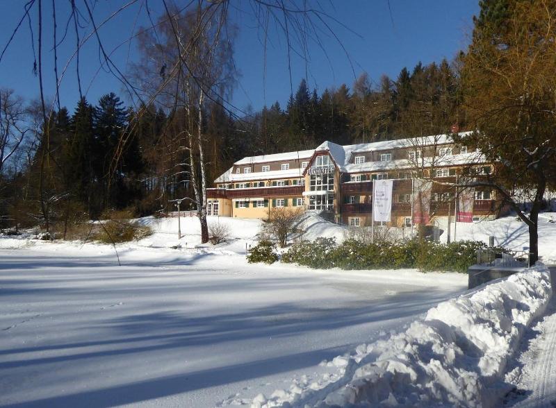 Parkhotel Bad Brambach image