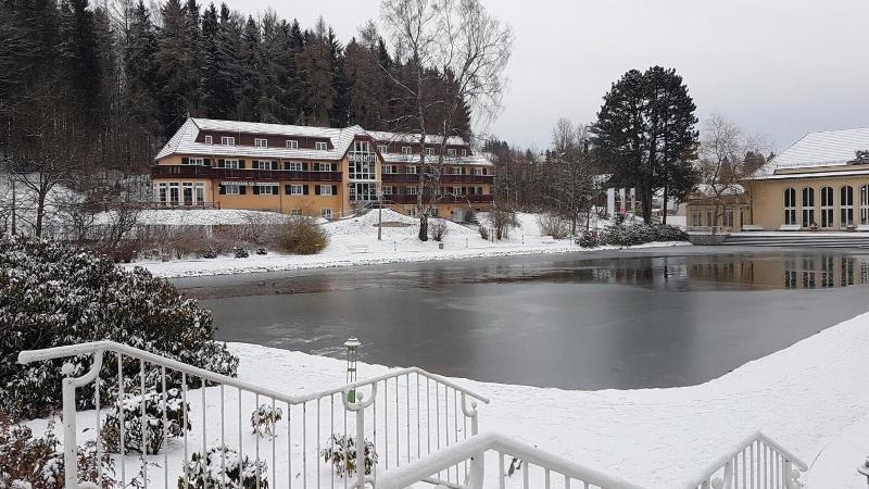 Parkhotel Bad Brambach image