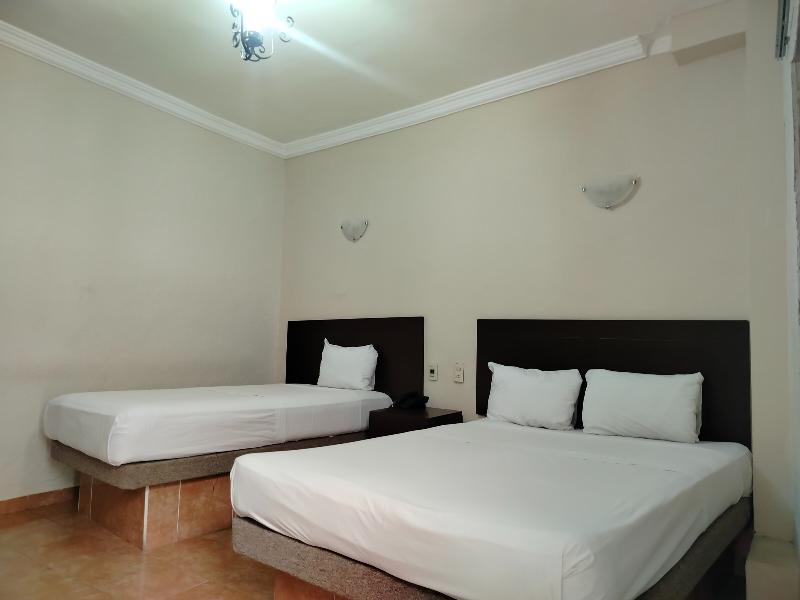 OYO Hotel Plaza Veracruz Centro Historico image