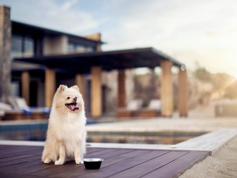 Zadun, A Ritz-Carlton Reserve image