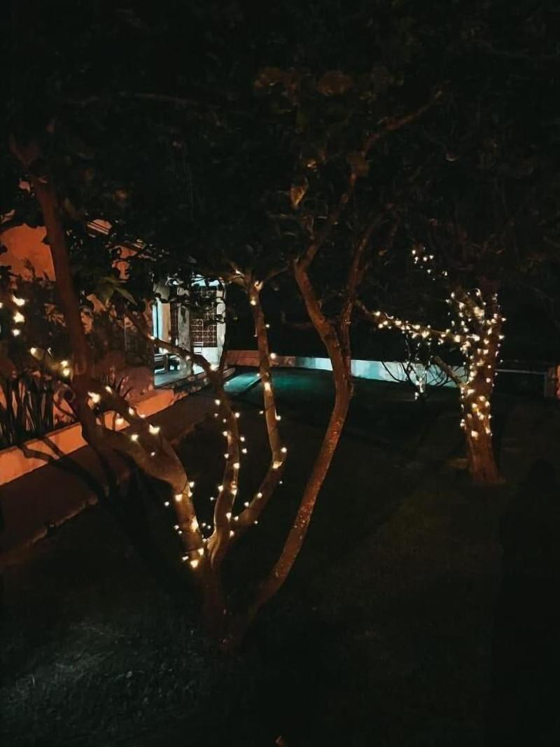 Quinta Amarela image