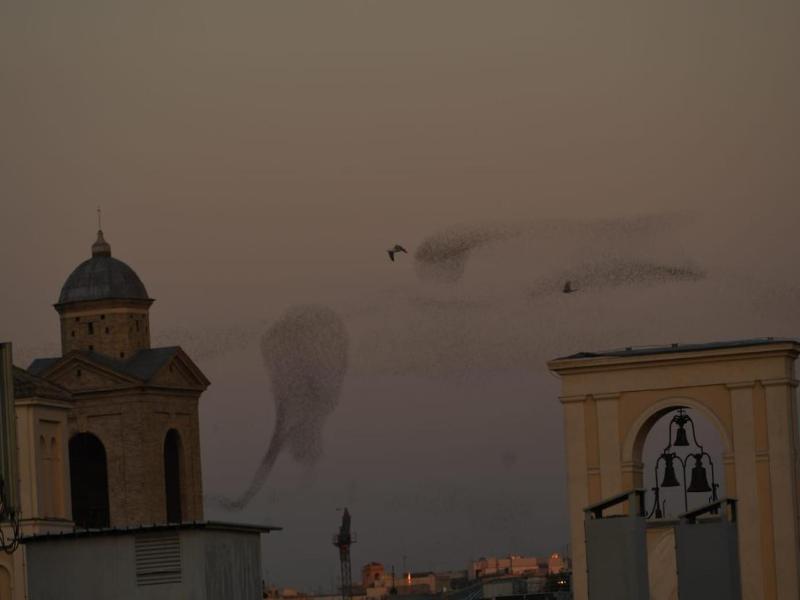 Relais Arco Della Pace image