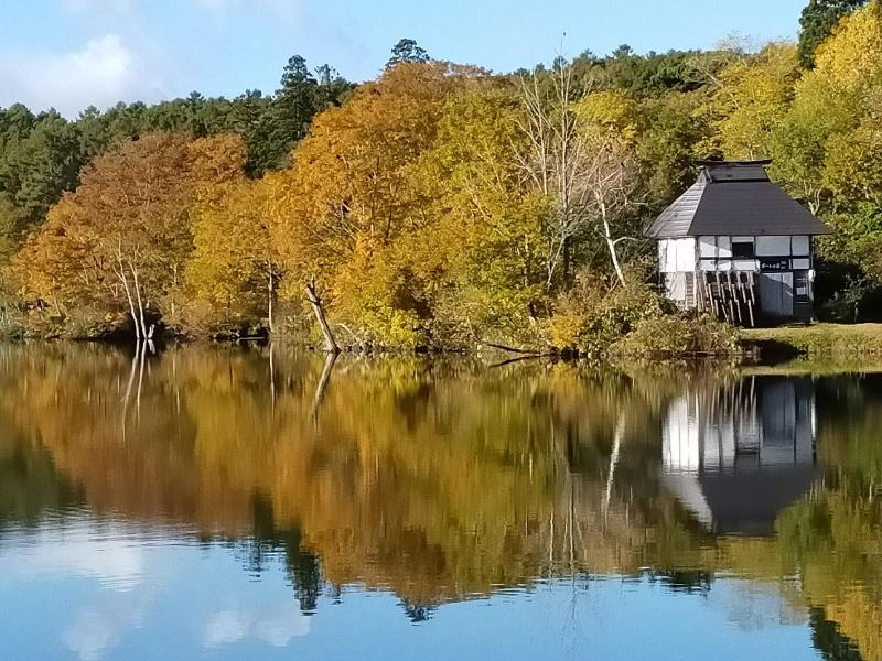 Madarao Mountain Lodge image