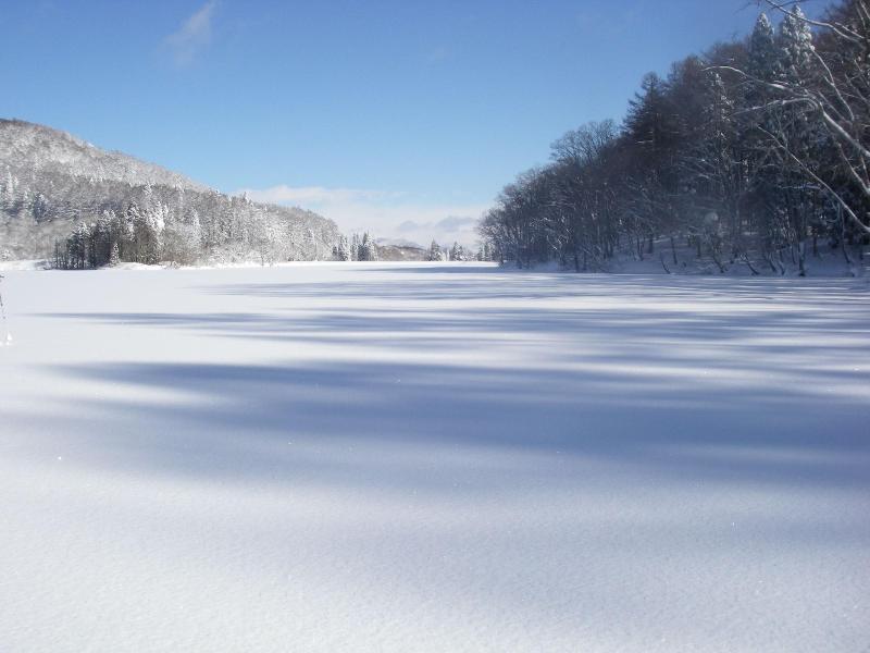 Madarao Mountain Lodge image