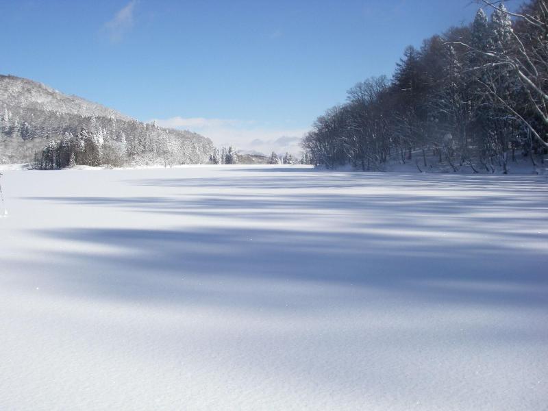 Madarao Mountain Lodge image