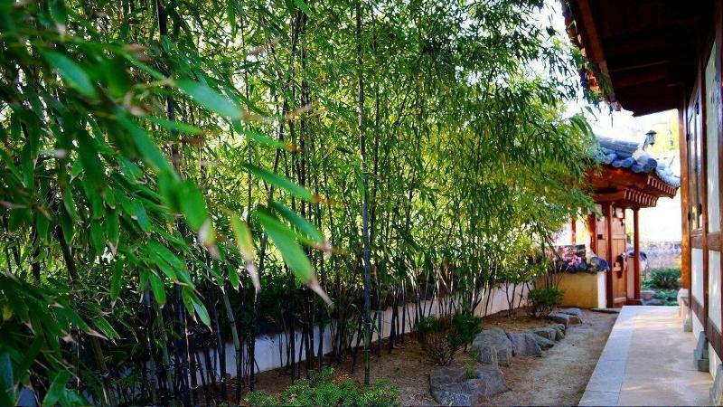 Jeonju Gwigeoraesa Hanok Stay image