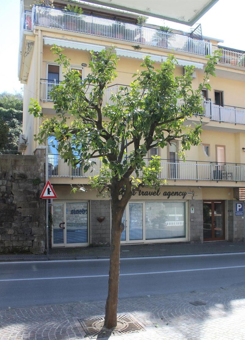 Sorrento Comfort Rooms image