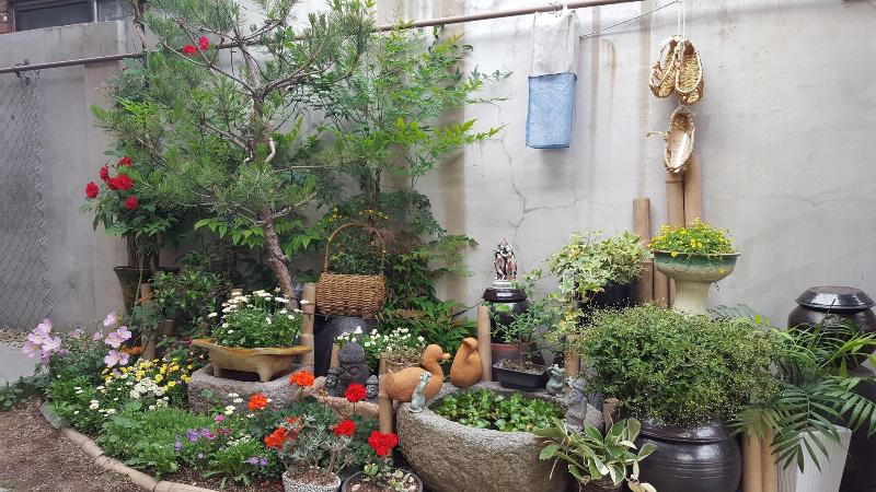 Beautiful House Hanok Stay image