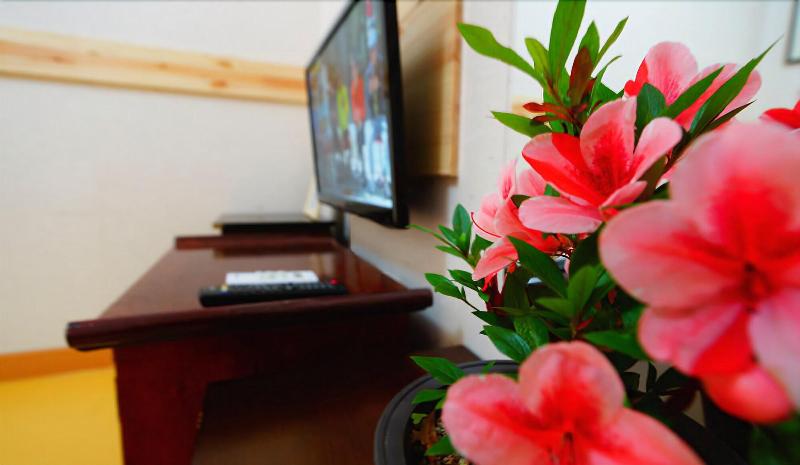 Beautiful House Hanok Stay image