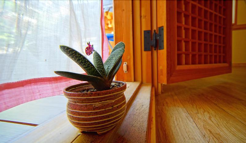 Beautiful House Hanok Stay image