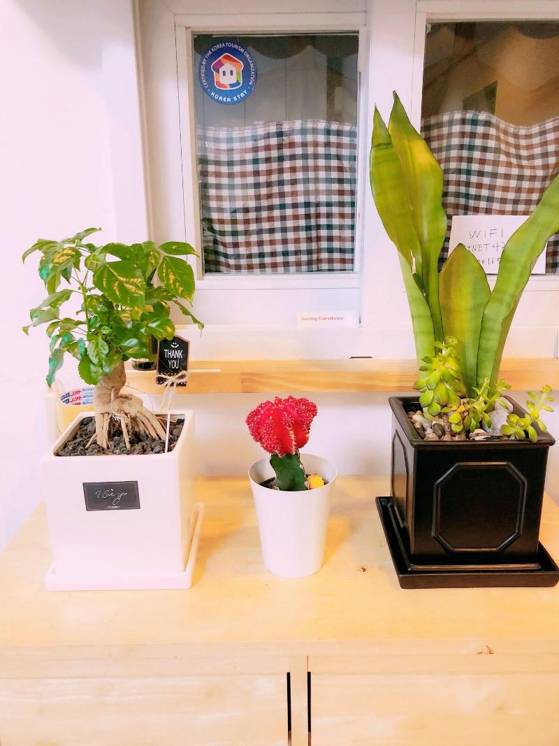Sarang Guesthouse Dongdaemun image
