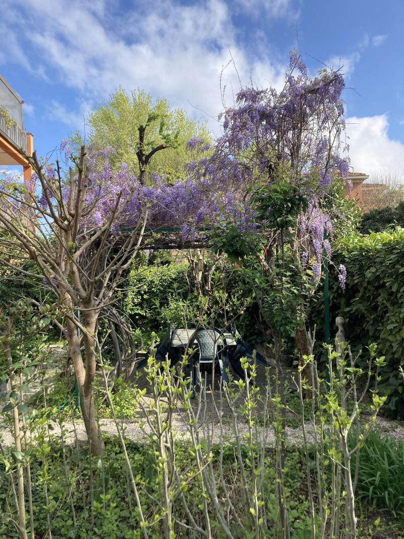 Il Giardino nel Parco R&B image
