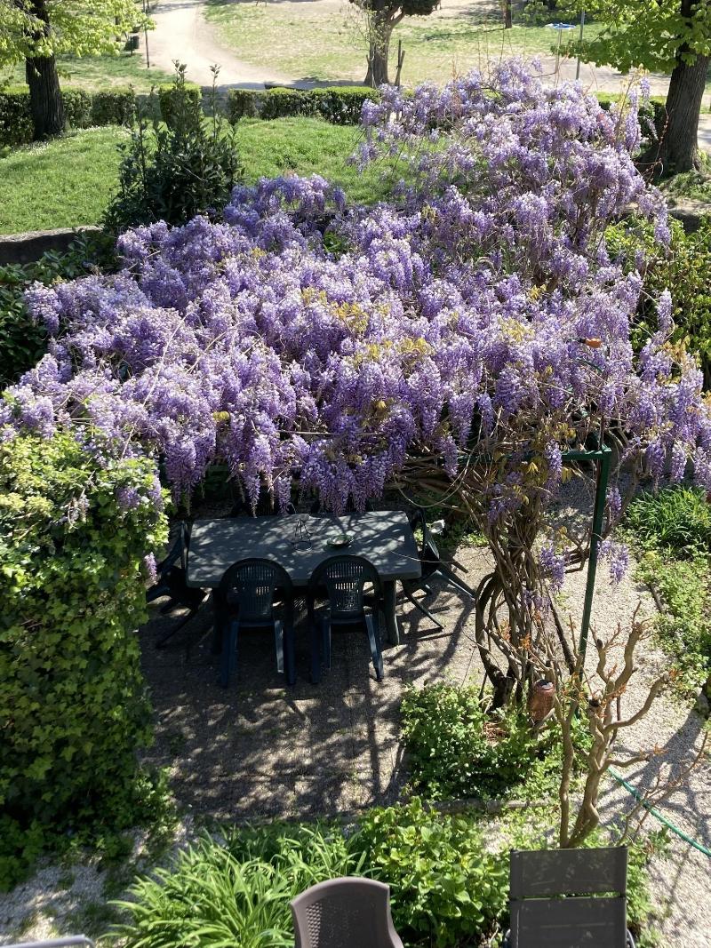 Il Giardino nel Parco R&B image