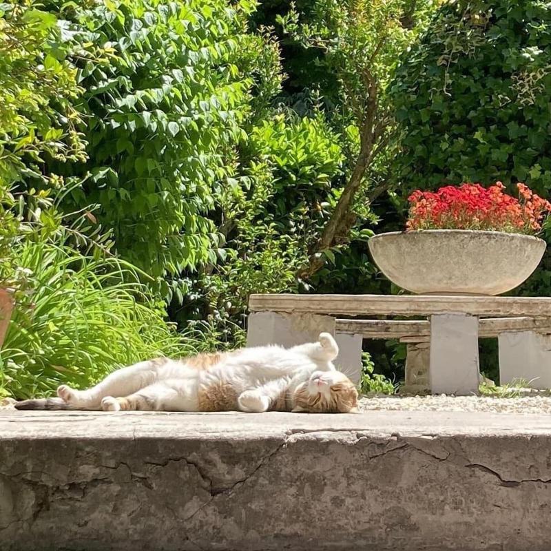 Il Giardino nel Parco R&B image