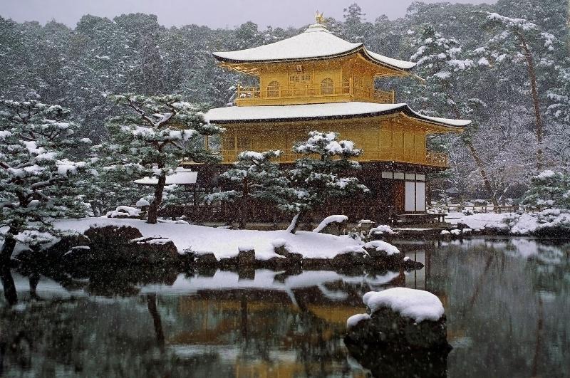 Guest House Kyoto Inn - Hostel image