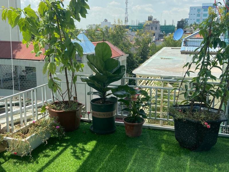 Haiphong Backpacker Hostel image