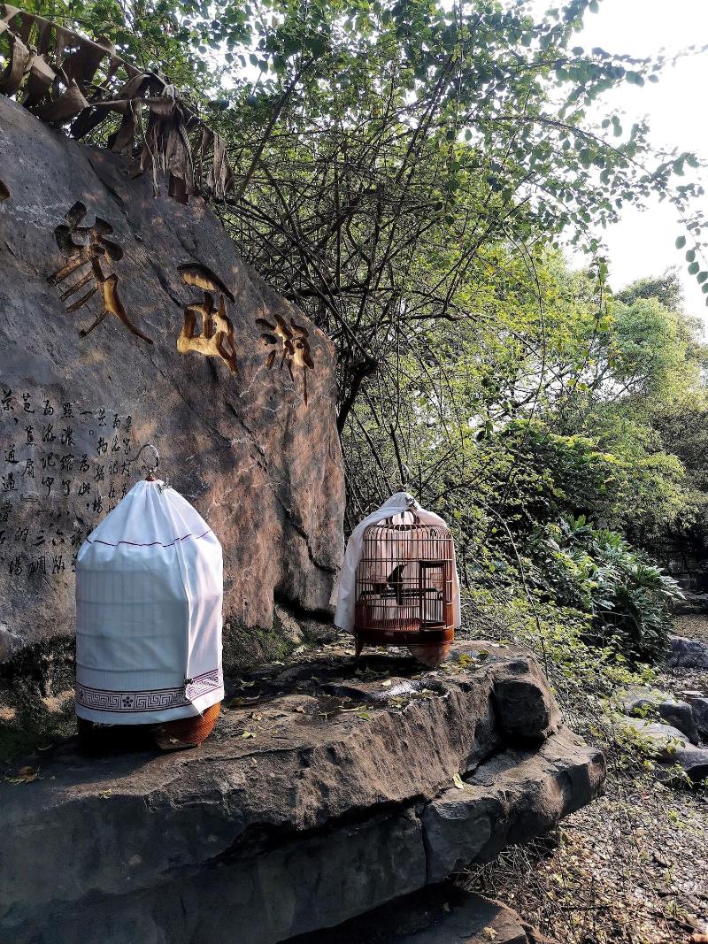 The Beyond Villa Guilin