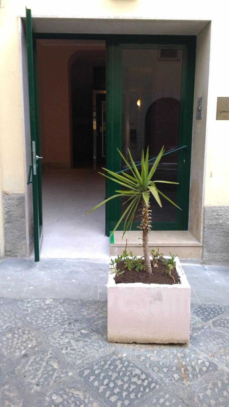 B&B Le Stanze del Sogno image