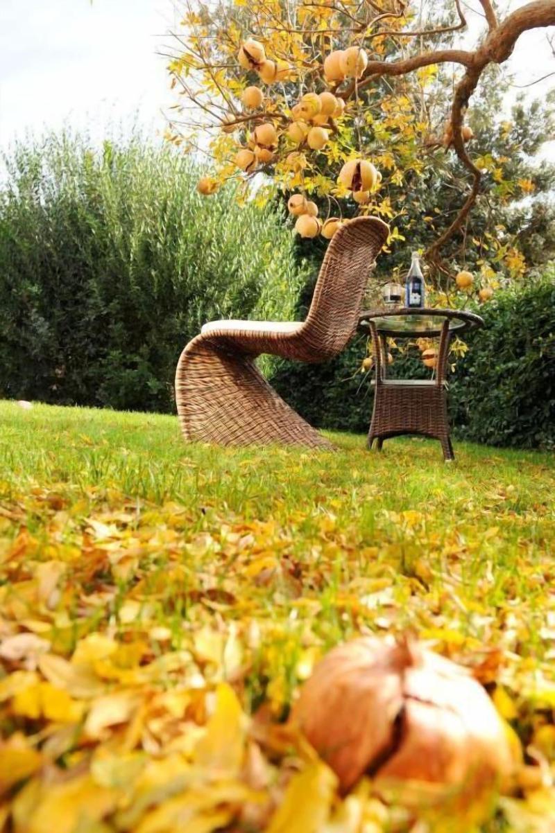 Il Giardino Di Valentina image