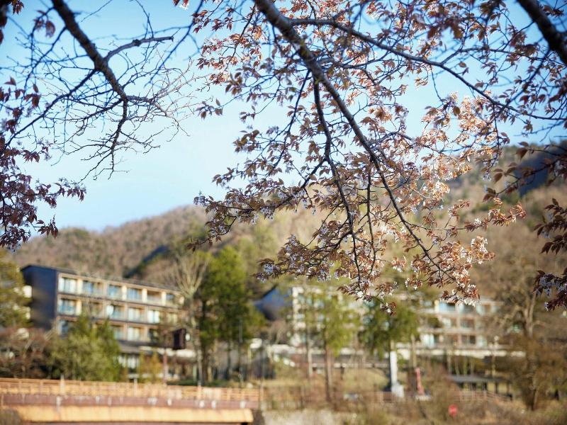 The Ritz-Carlton, Nikko image