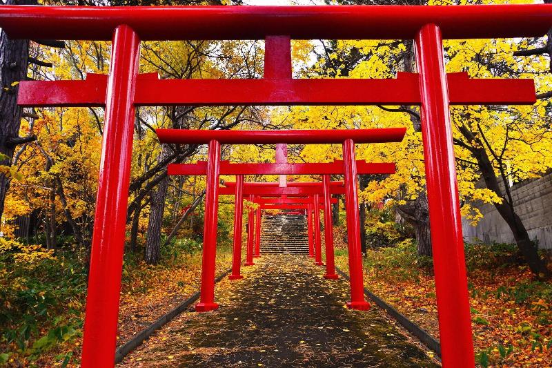 Stay SAKURA  Kyoto Fuga