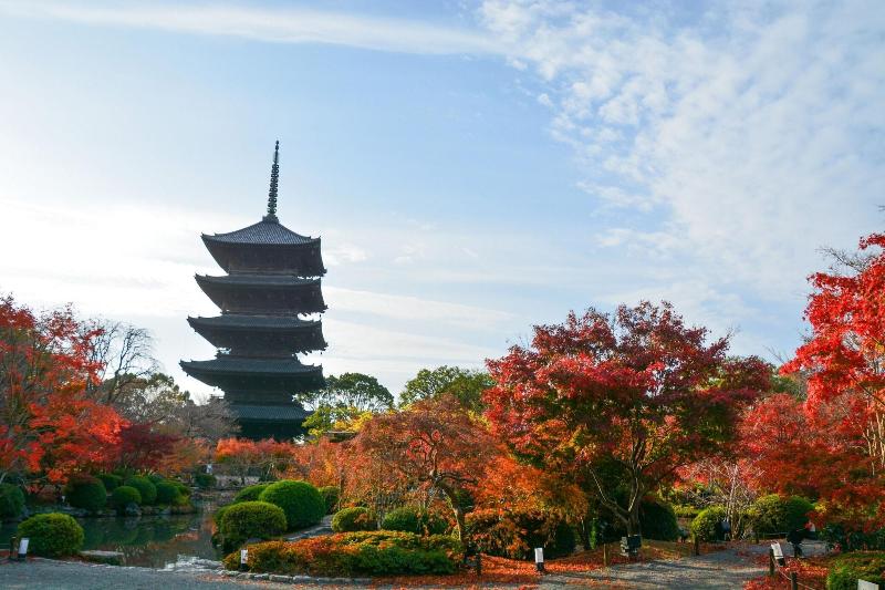 Stay SAKURA  Kyoto Fuga